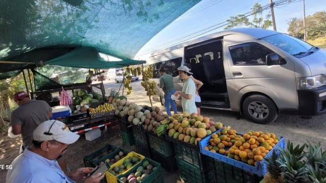 Guanacaste: Cultural and Handicraft Tour