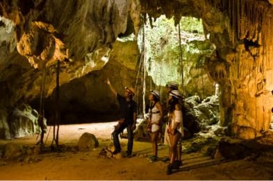 Punta Cana: Blue Hole and Scape Park Cap Cana Entry Ticket