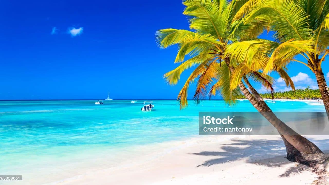 Saona Island - ¡Full Day Open Bar, Lunch and Round Trip!