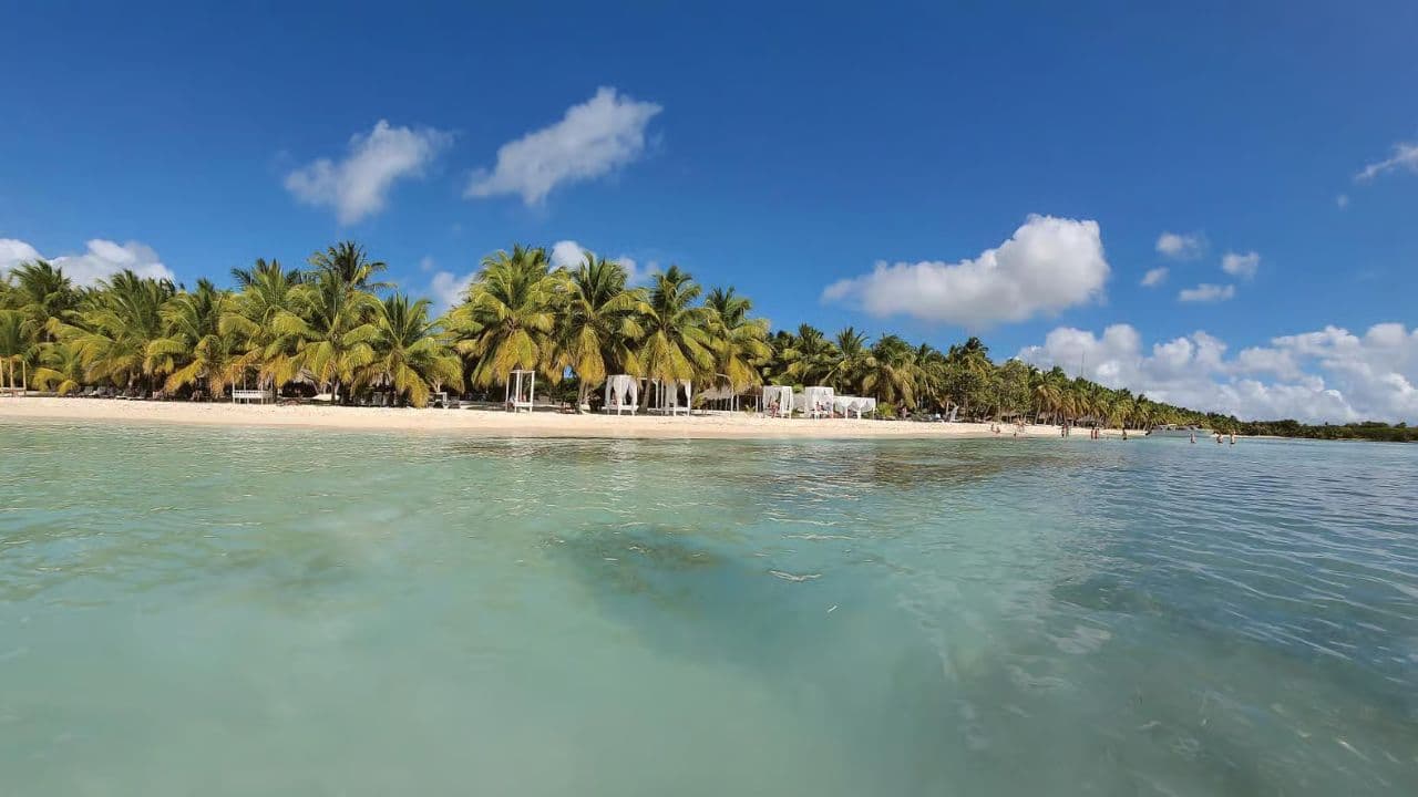 Punta Cana: Saona Island Day Trip with Lunch and Drinks
