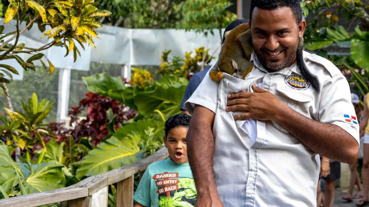 Monkeyland tour + Transportation from cruise/hotel