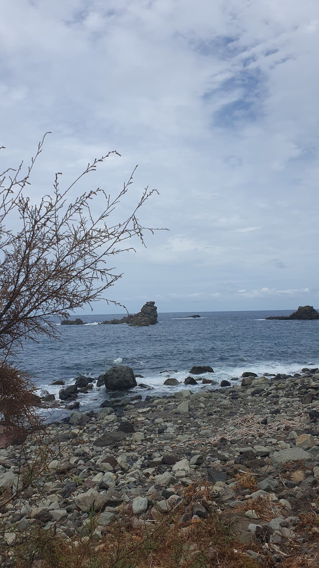 Full day tour visiting Santa Cruz, La Laguna and Anaga