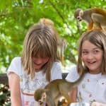 Punta Cana: Ziplines Adventures & Monkeyland Entry