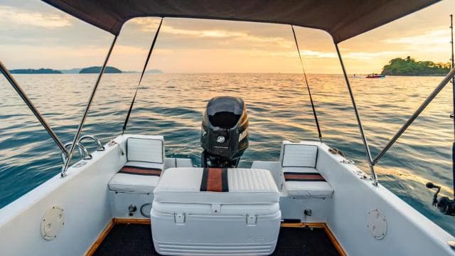 Costa Rica: Dolphin Watching & Snorkelling Private Charter