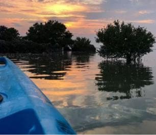 Private: Kayak Adventure at Los Haitises Sunrise Exploration