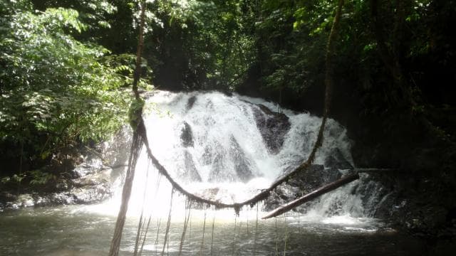 The Explorer Waterfall Tour