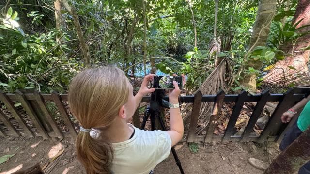 Rio Celeste Waterfall: Rain Forest Hike & Sloth Observation