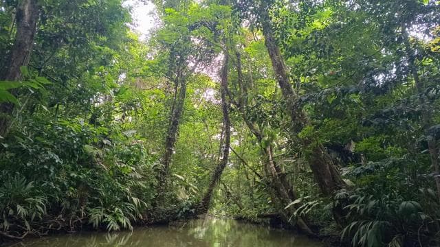 3-hour experience through the channels of the National Park.