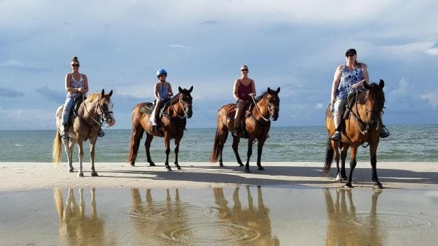 Tamarindo: Horseback to Tamarindo Beach - Guanacaste, CR