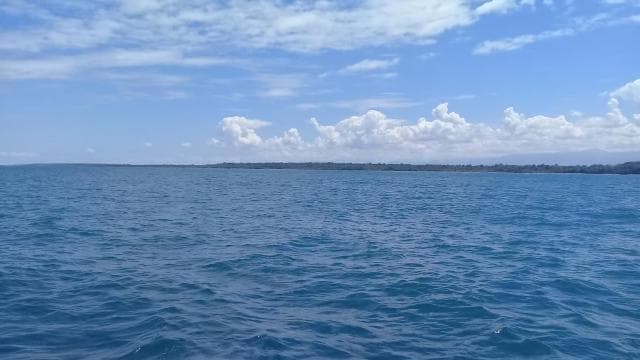 Cahuita National Park: Snorkel