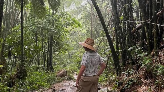 Private & Customizable El Yunque Rainforest Adventure