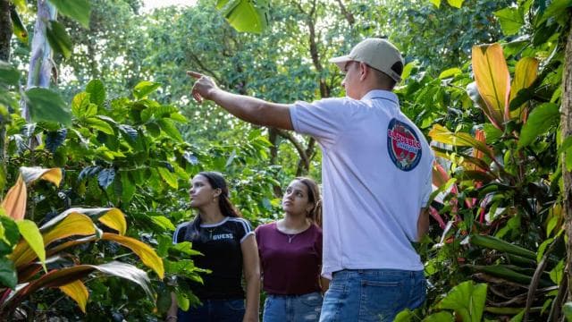 Monteverde: Coffee Tour and Sugar Cane El Pueblo
