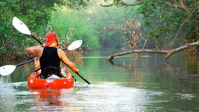Tortuguero: Three Days & Two Nights All Included Tortuguero