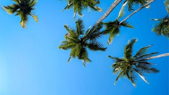 From Jaco: Tortuga Island Boat Tour with Snorkel and Lunch