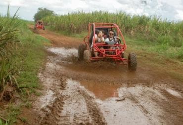 Bayahibe: Buggy tour amazing half-day