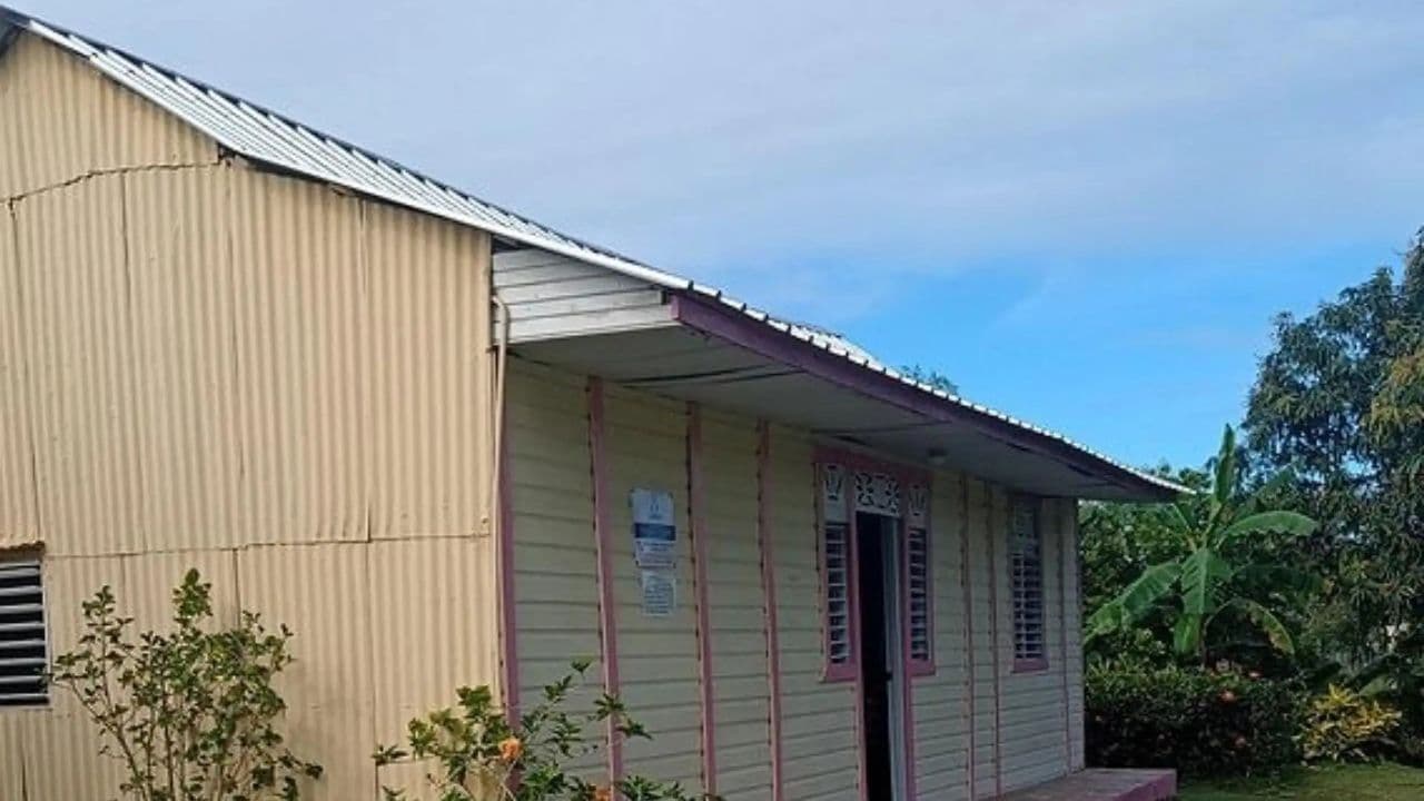 Punta cana: 3 hour panoramic with artisan market small group
