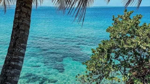 Puerto Rico: Cueva del Indio, Waterfalls, & Beach Tour