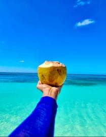 Bahía de las Águilas Private Full Day VIP All-Inclusive from Santo Domingo