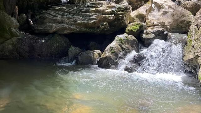 Caguas: Waterfall and Cave Adventure