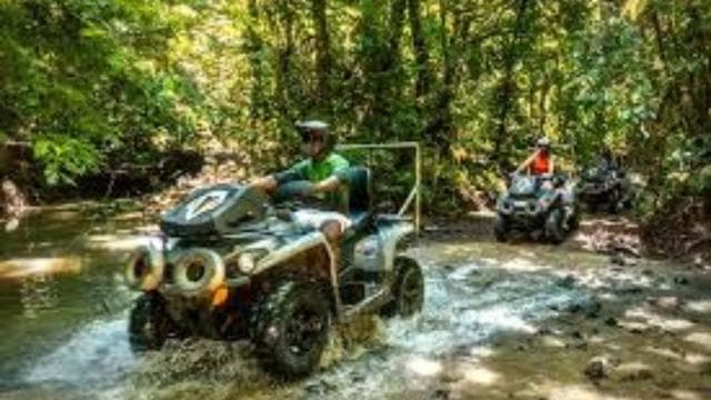 Carabalí Rainforest Park: 2-Hour UTV Adventure Tour