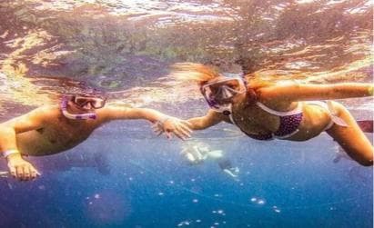 Private: Catalina Island Diving Tour with Lunch (Copy)