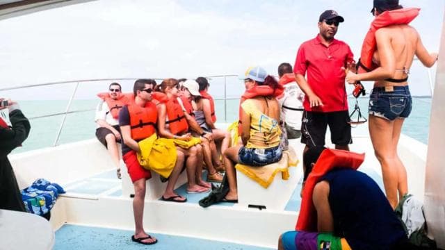 Whale Watching from Miches Hotels | Cayo Levantado Lunch Included