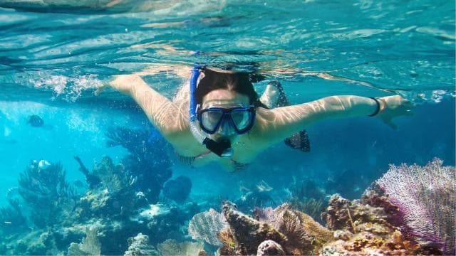 LICENSED Two-Hour Snorkeling Adventure Cahuita National Park