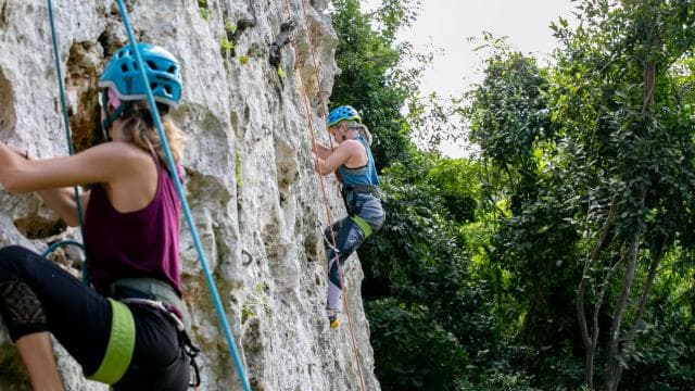 Rock Climbing, Summit Goals! (Beginner or Experienced)