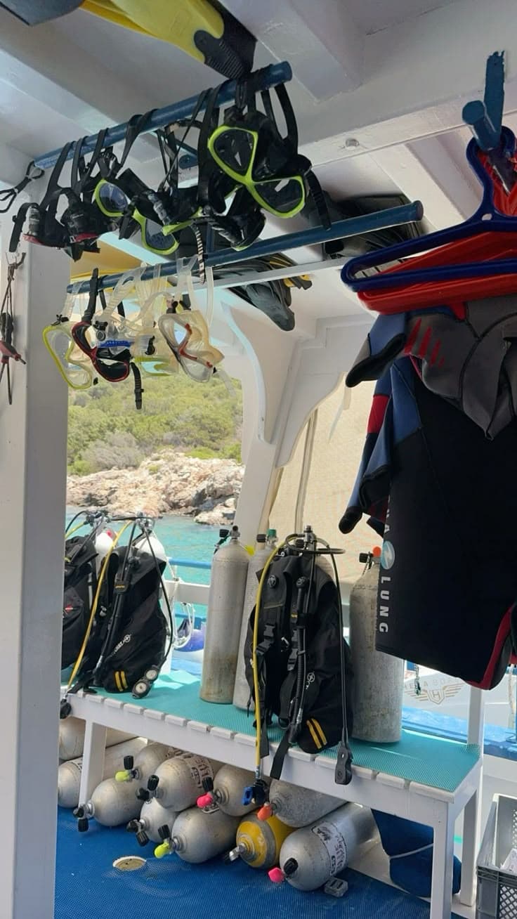 Private: Catalina Island Diving Tour with Lunch - Dominican Republic