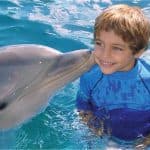 Dolphin Encounter at Ocean World, Puerto Plata