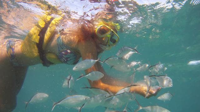 Punta Cana Happy Hour Sailing Cruise