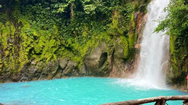 Rio Celeste, explore the rainforest and great waterfall