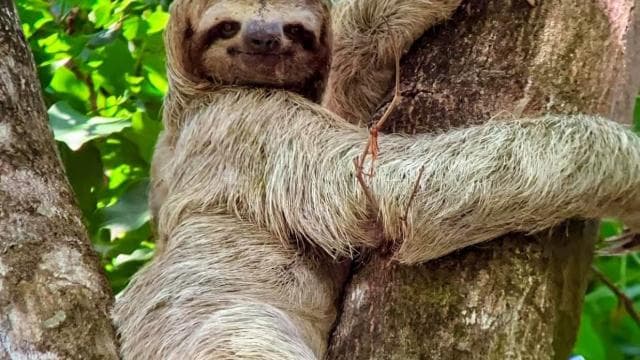 Manuel Antonio Park Guided Tour - Admission Ticket Included