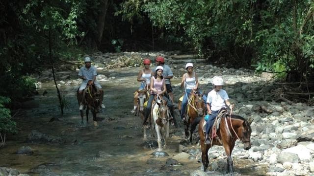 From Manuel Antonio: Horseback Riding with Lunch or Dinner