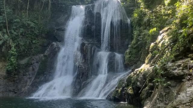 Puerto Rico: Gozalandia River Hiking and Waterfall Tour