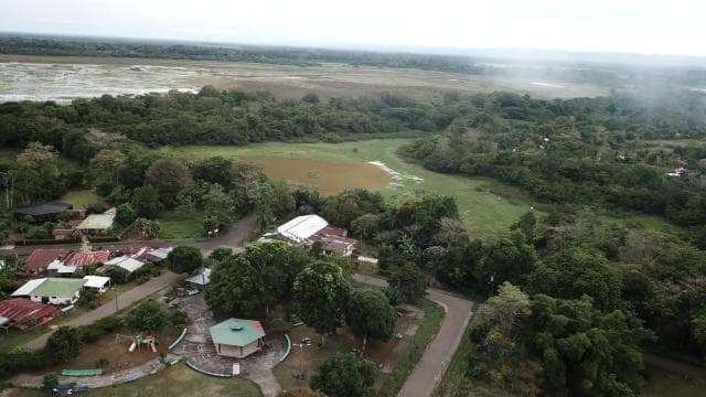 Caño Negro: rivers and lagoons: bird, flora and fauna tour