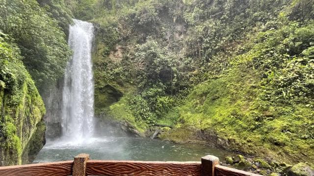 From San Jose: La Paz Waterfall Gardens Guided Day Tour