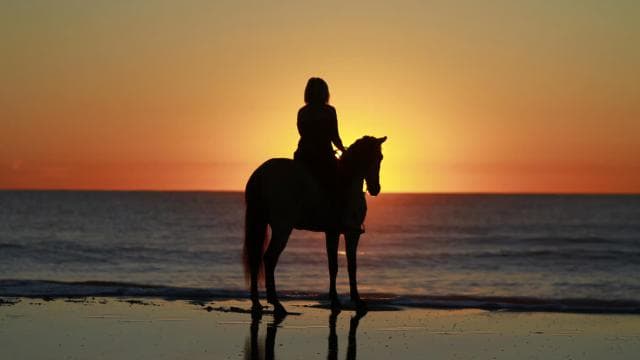 Uvita: Horseback Riding Costa Rica