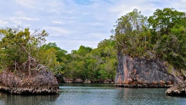 From Samana: Los Haitises Boat and Walking Tour with Lunch - Dominican Republic