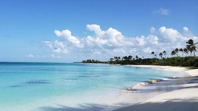 Punta Cana: Saona Island Full-Day Group Tour