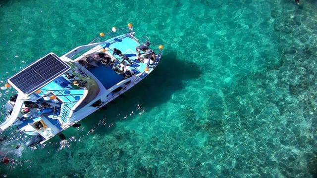 Punta Cana: Catamaran Party Cruise, Snorkeling and Open Bar