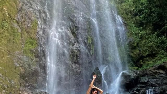 Puerto Rico: Private Hidden Waterfall Tour with Guide