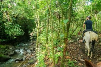 Jarabacoa: Private Baiguate Waterfall Horseback Riding Tour