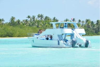 From Santo Domingo: Whale Watching & Cayo Levantado