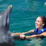 Dolphin Swim in Punta Cana – Best 60-min Dolphin Discovery