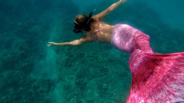 Puerto Rico: Mermaid Snorkeling Adventure