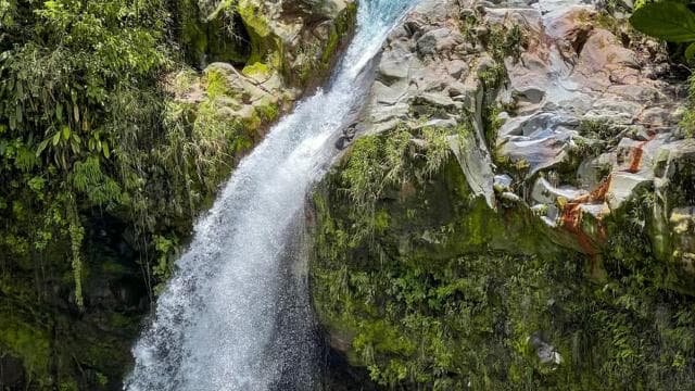 Horseback Ride to Hidden Waterfall & Hot Springs