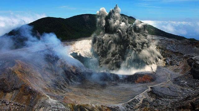 Volcan Poas: Volcan Poas National Park Flora & Fauna Tour