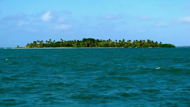 From Fajardo: Sunset Boat and Snorkeling with Lunch and Open Bar