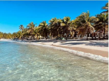 Saona Island Day Trip From Punta Cana with Lunch w/ Open Bar